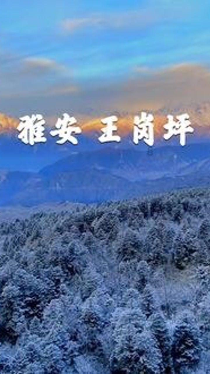 玛哈带苏提达从德国返程，参加儿时保姆的葬礼，贵妃仍不允许露面